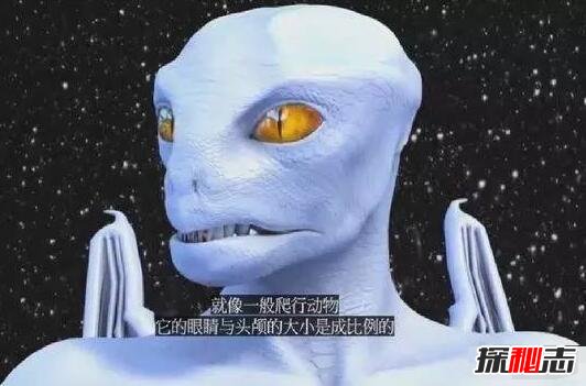 解密!阿尔法天龙星人：精通遗传,统治整个宇宙(外星皇室)